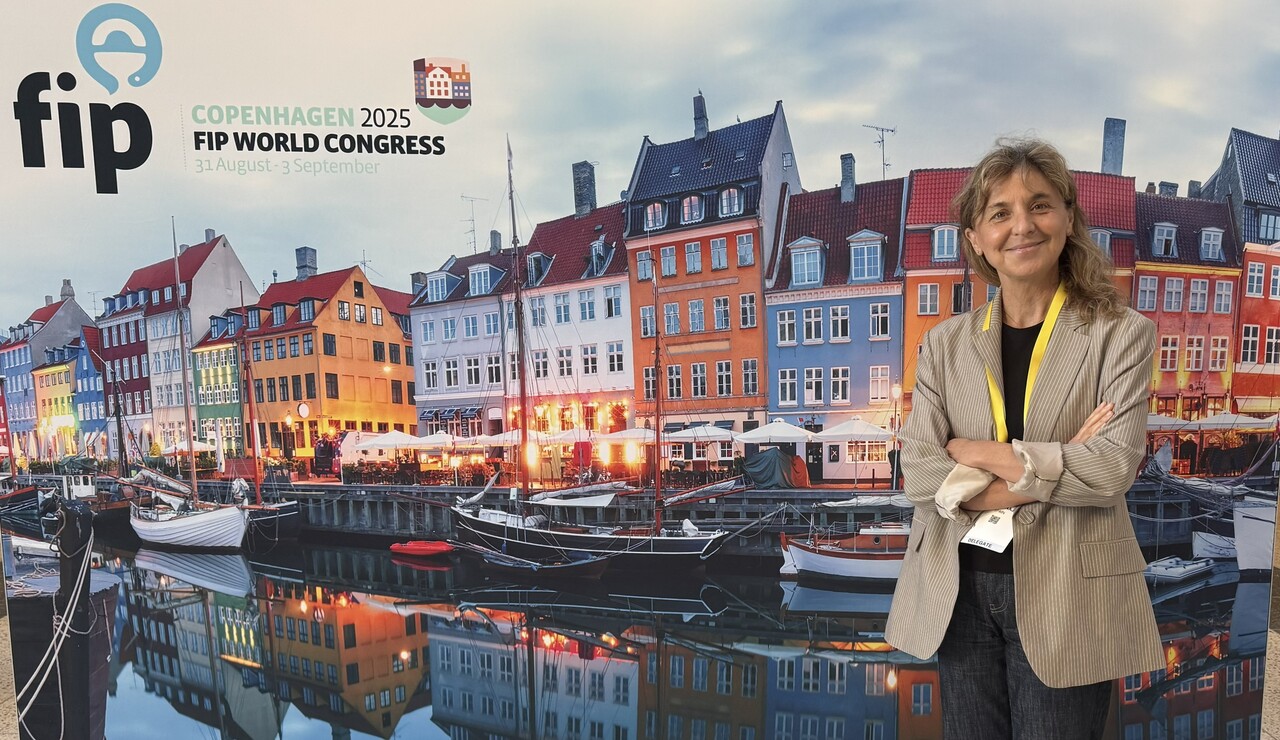 fip-ia-vulnerabilidad