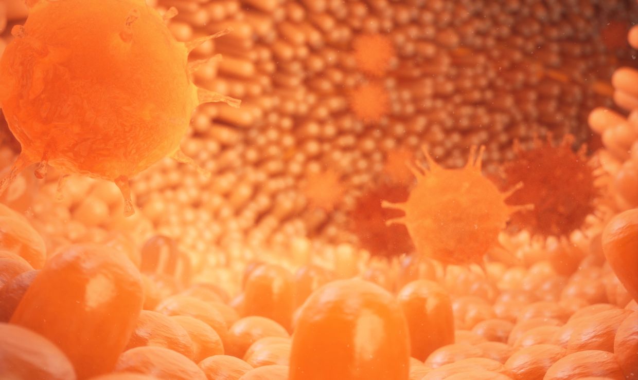 Un mapa celular con 1,6 millones de células revela claves para tratar enfermedades intestinales