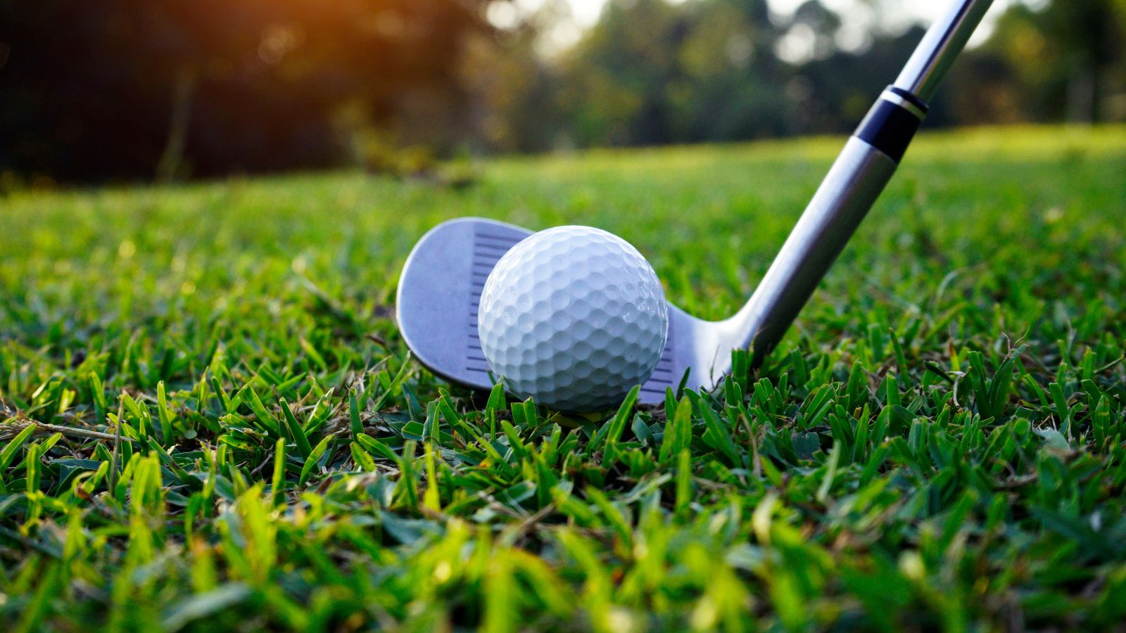 Cofares celebra su 80 aniversario con un Torneo de Golf para sus socios
