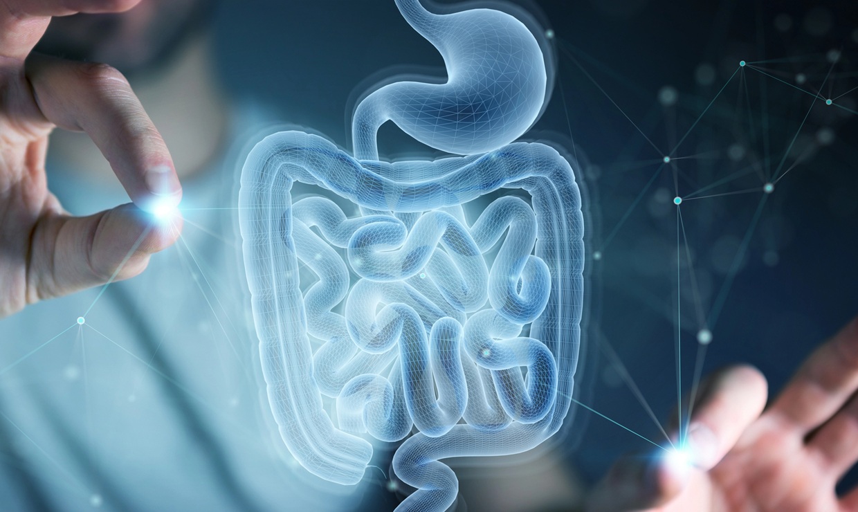 Un nuevo enfoque en el diseño de fármacos permite administrar medicamentos directamente al intestino
