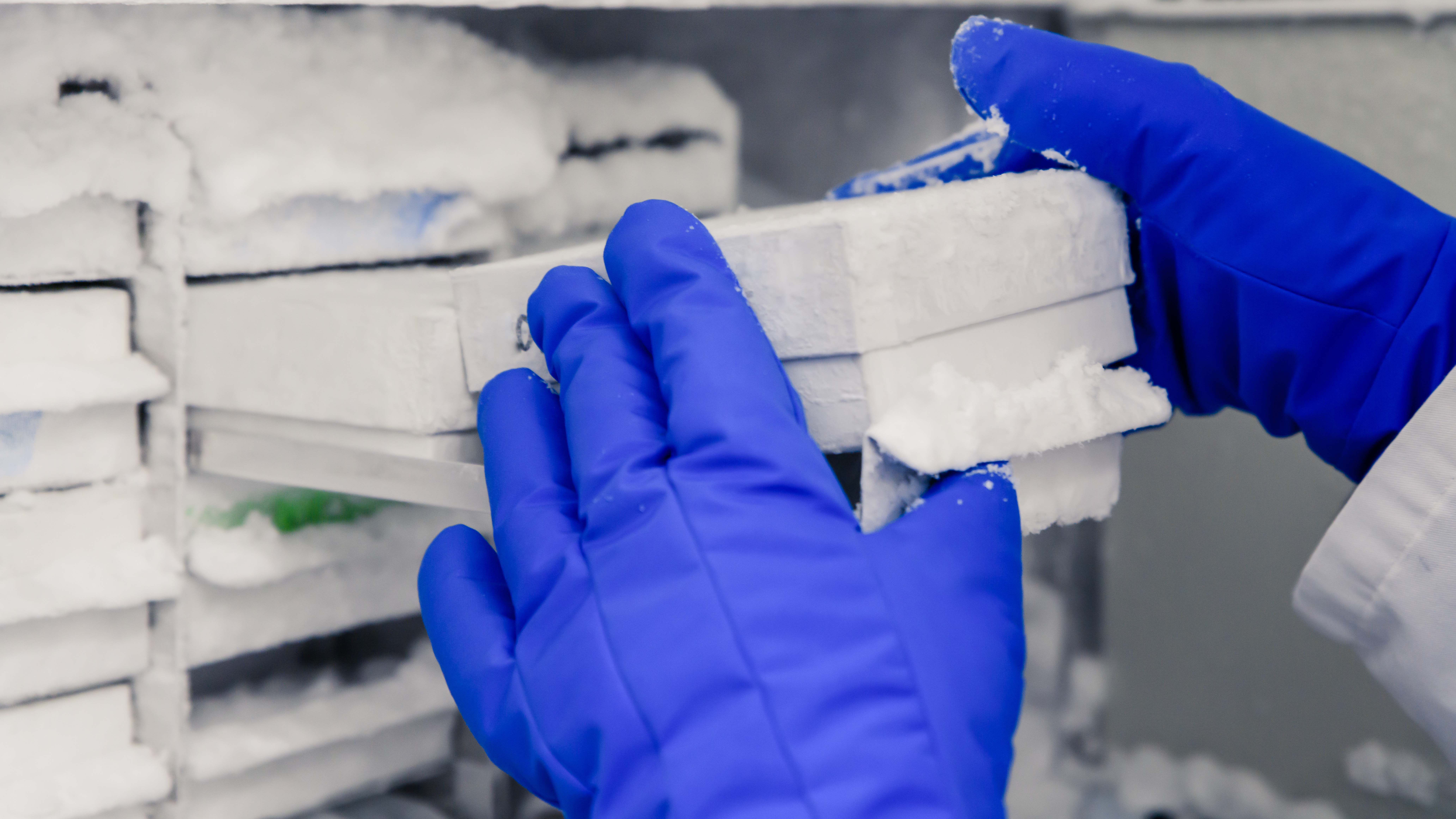 refrigeración de medicamentos