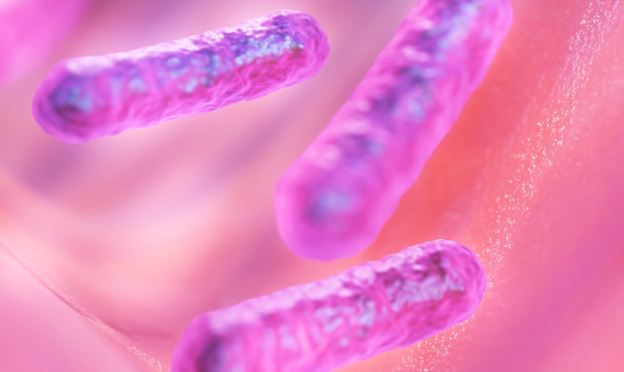 Blautia, la bacteria guardiana frente a los trastornos alimentarios