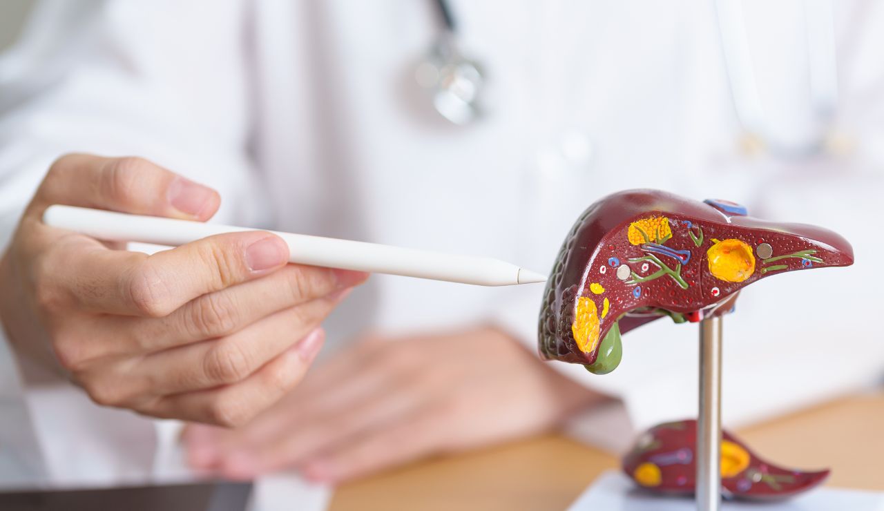 Encuentran un fármaco que emula el efecto protector del ayuno frente a enfermedades hepáticas