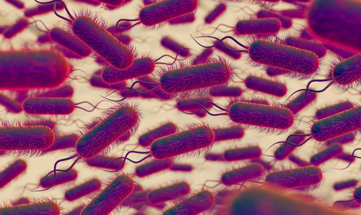 La microbiota fecal, una revolución en los medicamentos para tratar las infecciones bacterianas