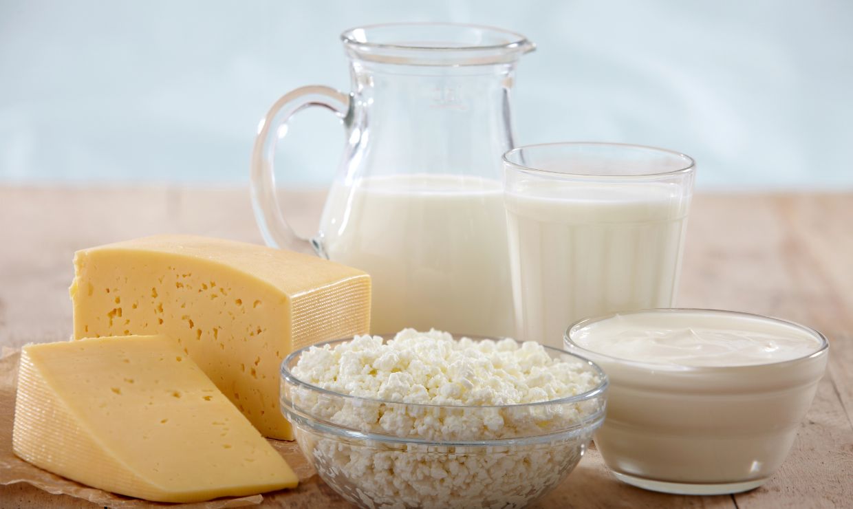 El papel de los lácteos en la salud ósea: evidencia científica y controversias