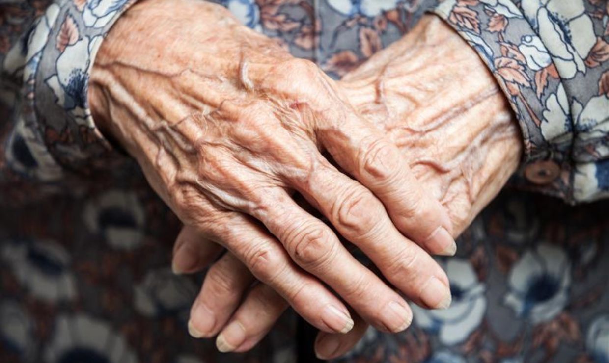 El microbioma intestinal, ¿llave para la longevidad?