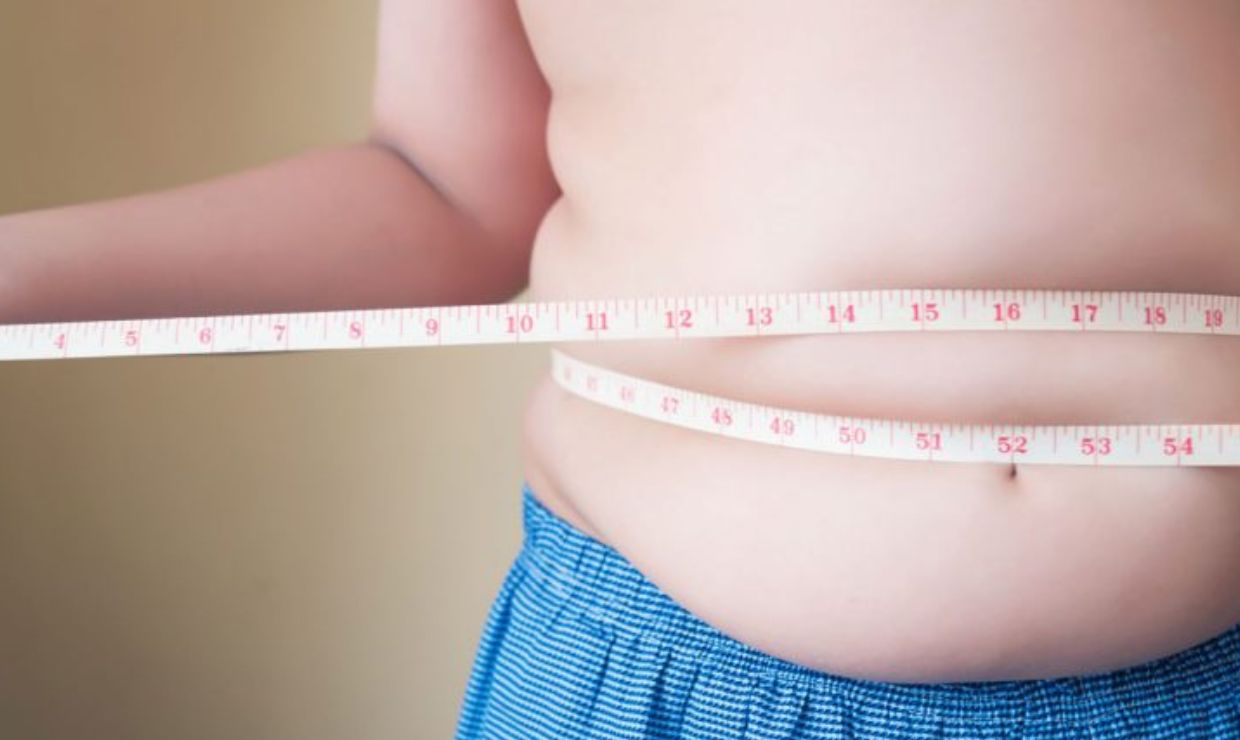 La obesidad tiene memoria: cómo impacta en el metabolismo celular