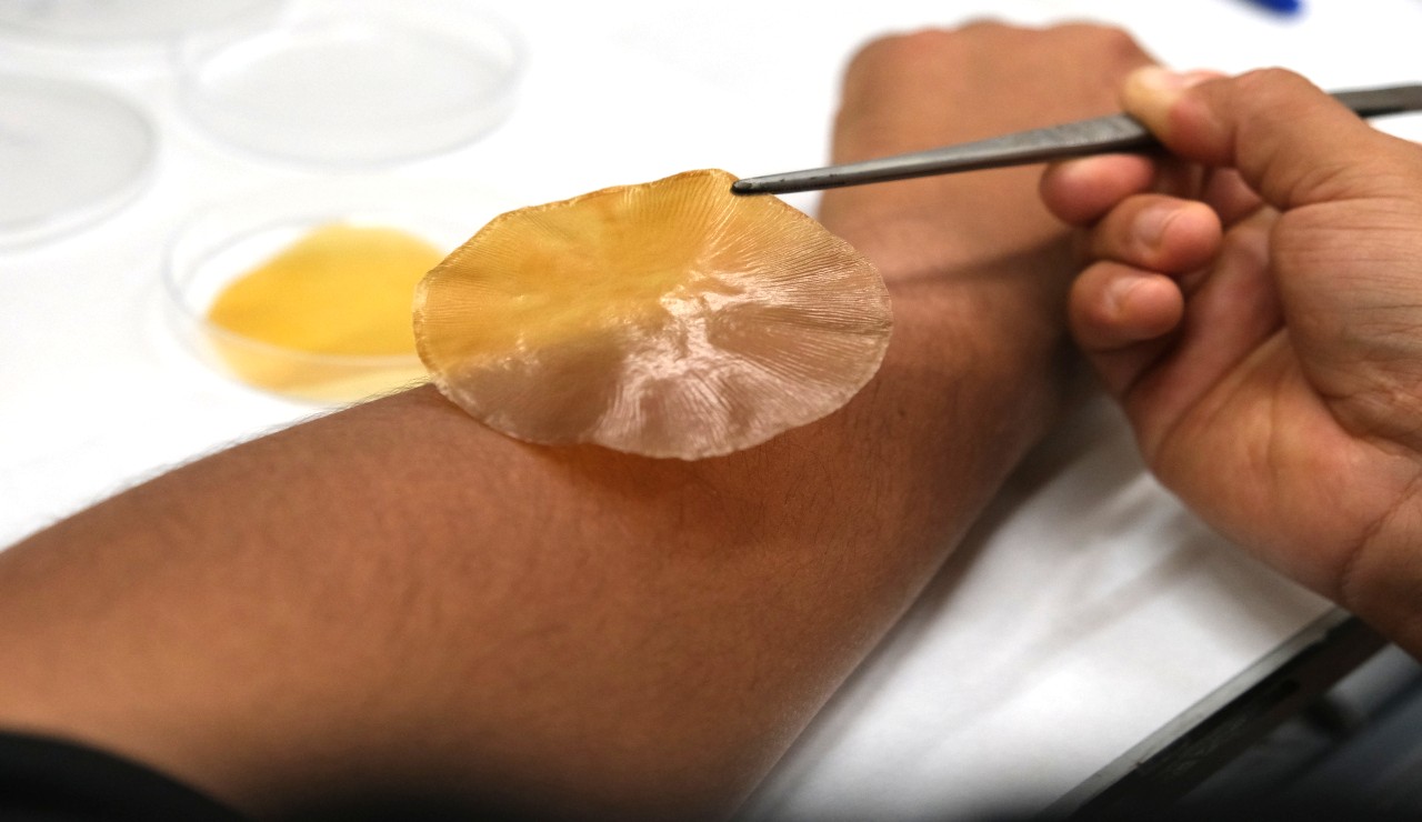 Un nuevo vendaje fotocatalítico frena la proliferación bacteriana con solo exponerse a la luz solar