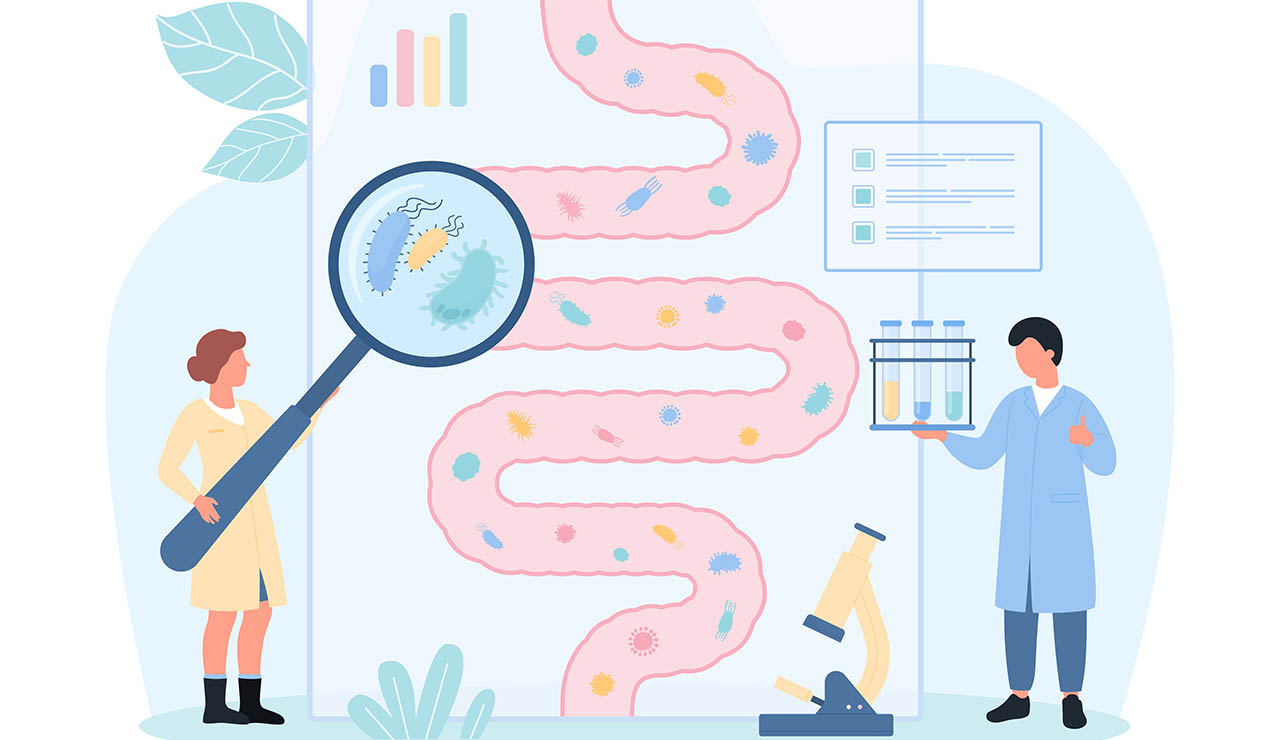 Microbiota intestinal saludable