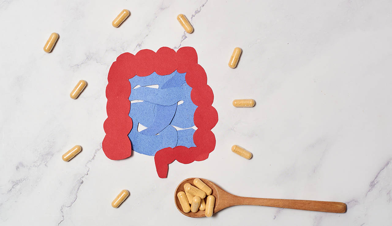 Microbiota intestinal y probióticos