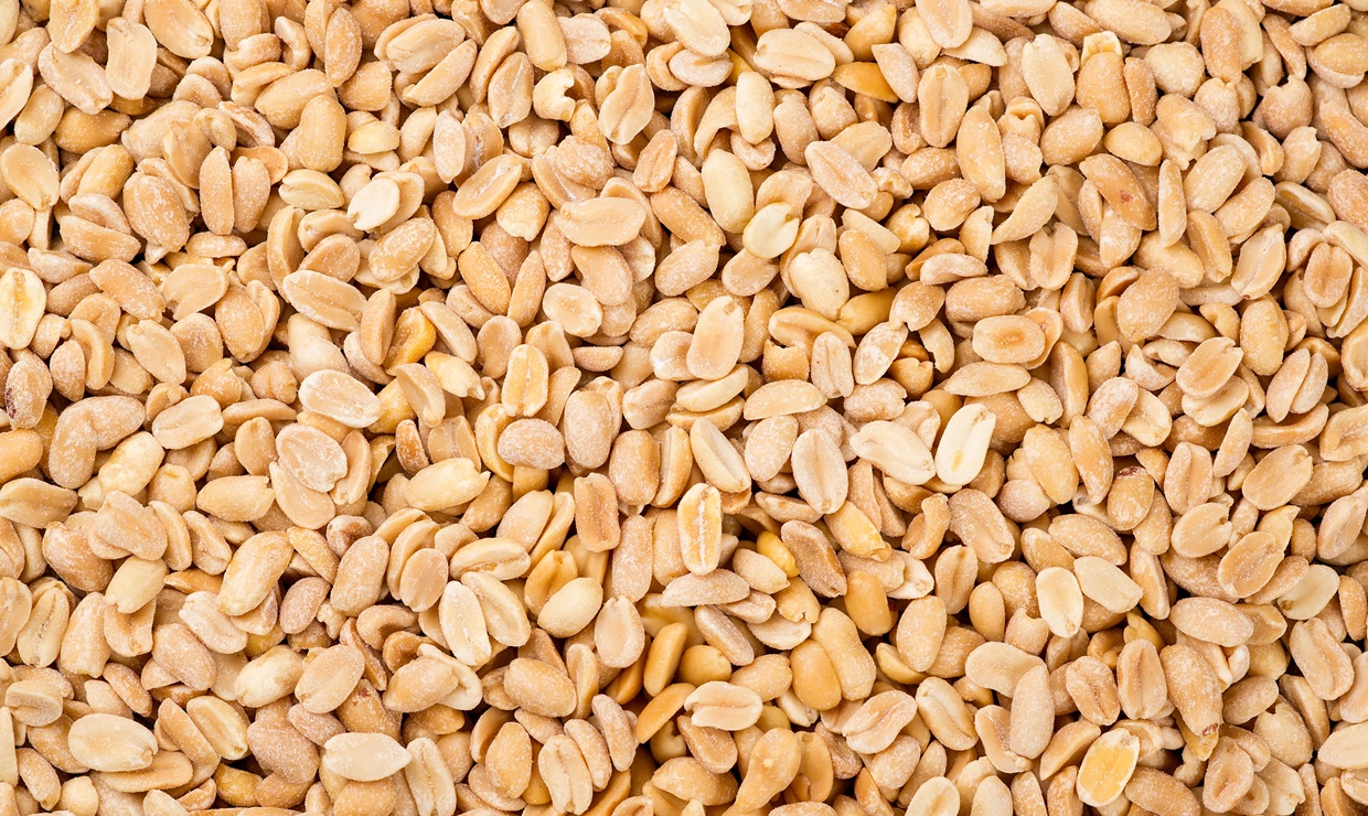 Una biotecnológica navarra desarrolla la primera vacuna oral del mundo para curar la alergia al cacahuete