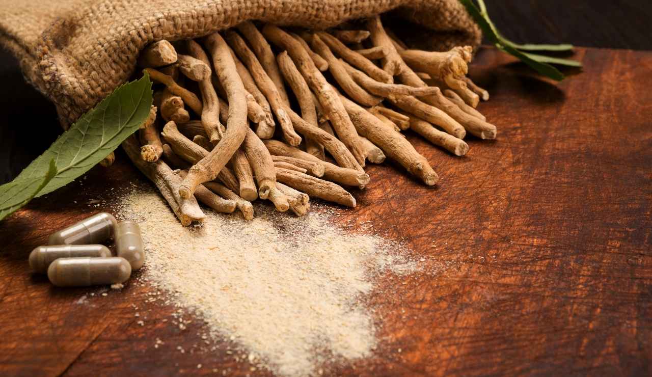 ¿Qué es la ashwagandha y para qué sirve?