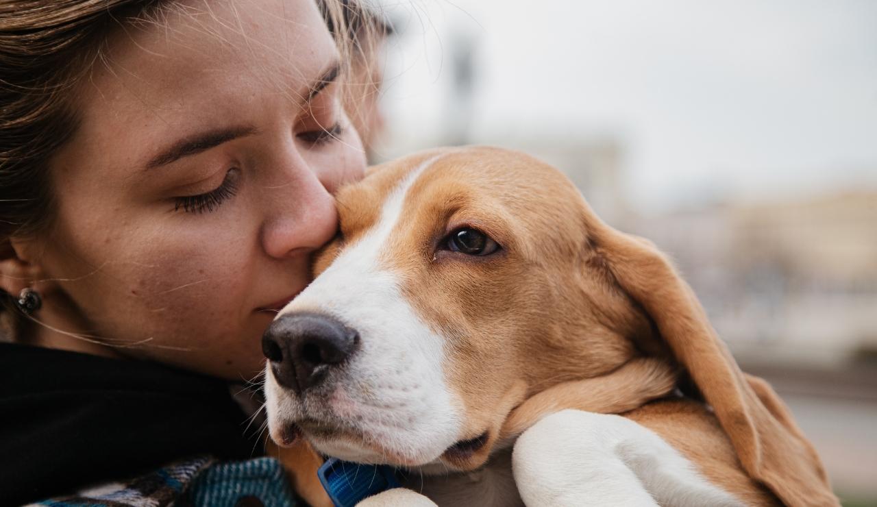 Relación entre perros y humanos: un vínculo que va más allá de la salud
