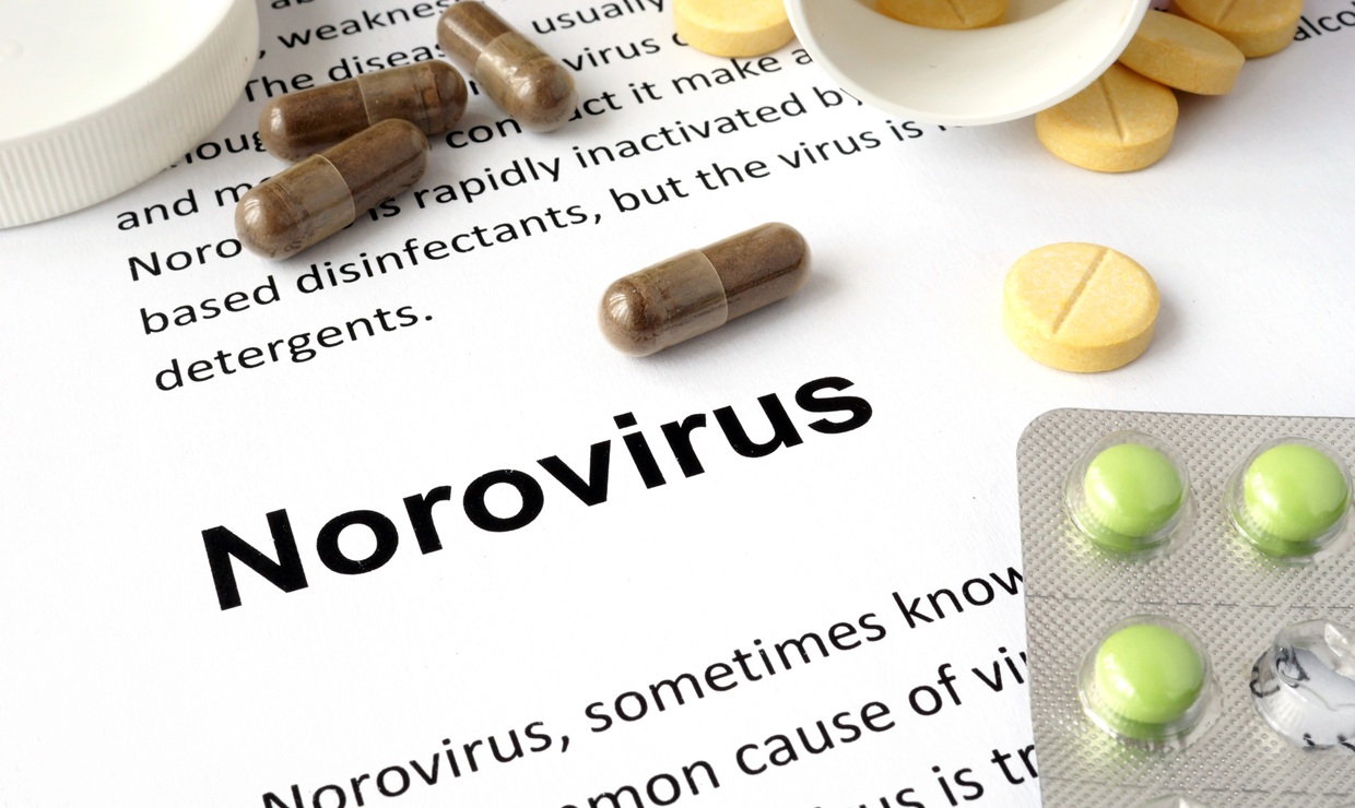 Norovirus, la ‘gripe estomacal’ del invierno en auge en España