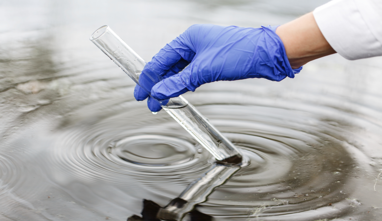 brote legionella verano