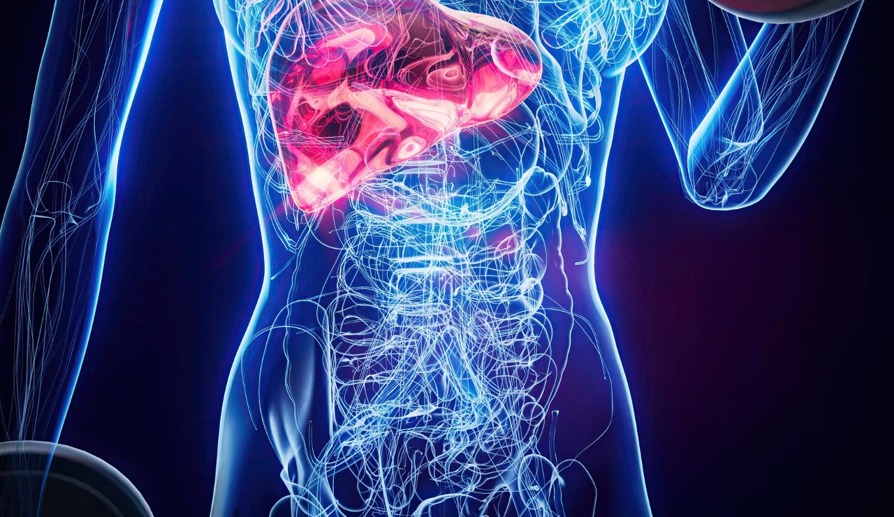 Hígado graso no alcohólico: diagnóstico, nuevo tratamiento y suplementos