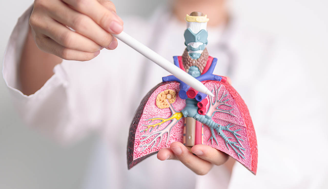 Fibrosis quística