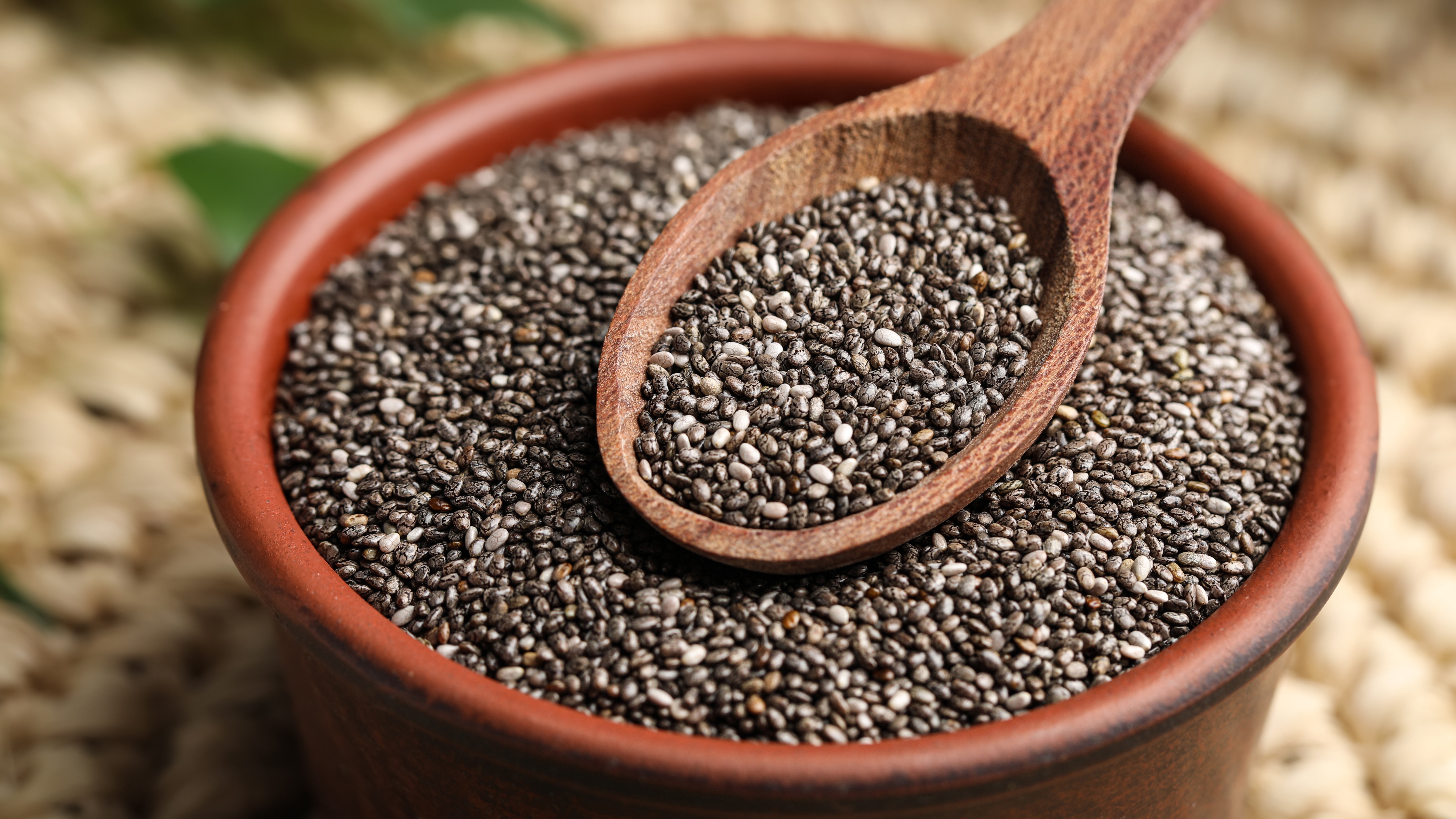 chia2