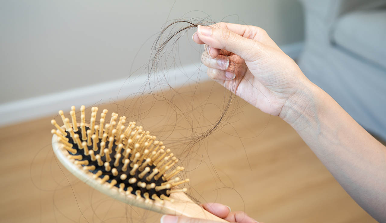 Pelo de un cepillo