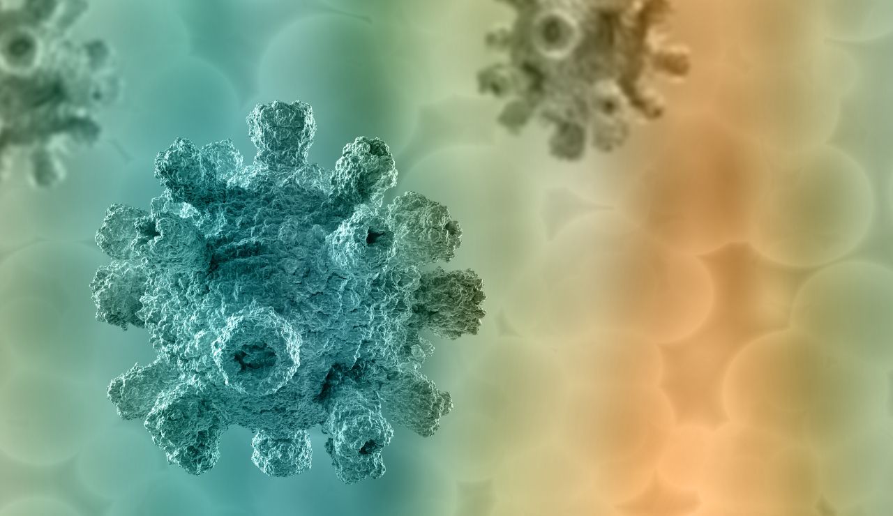 hantavirus
